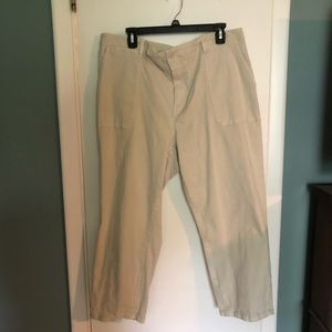 Sanctuary cropped pants